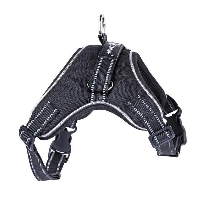 Luminous Canine Collar - Image 9