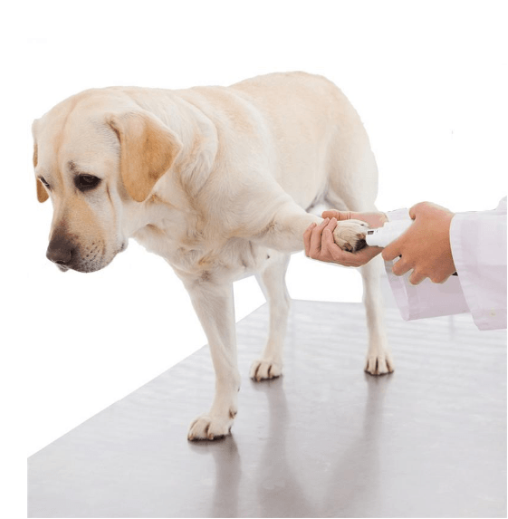 Pawperfect Pet Nail Care System: The Stress-Free Solution For Happy Paws - Image 2
