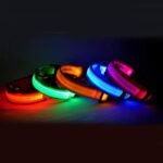 Luminous Glow In The Dark Led Pet