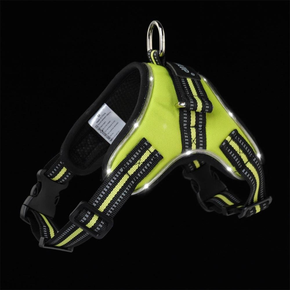 Luminous Canine Collar - Image 18