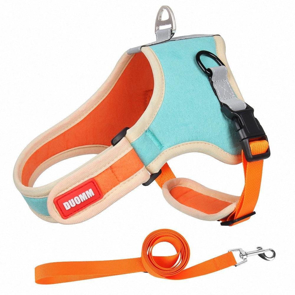 Luxury Suede Dog Harness Set: Stylish Leash And Adjustable Chest Strap For Pet Comfort - Image 12
