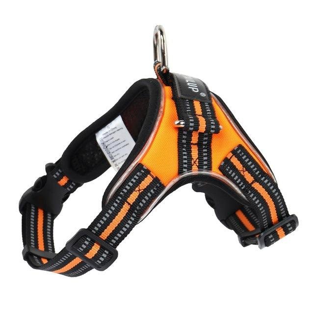 Luminous Canine Collar - Image 8