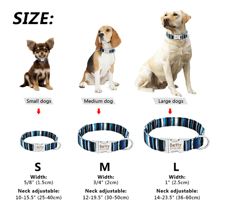 Reflective Wave Point Dog Collar: High Visibility, Adjustable, And Stylish - Image 5