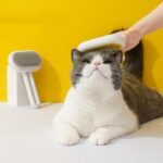 The Fur Friendly Pet Grooming Pro The