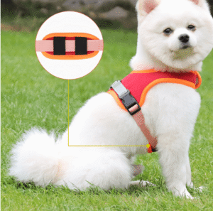 Luxury Suede Dog Harness Set: Stylish Leash And Adjustable Chest Strap For Pet Comfort