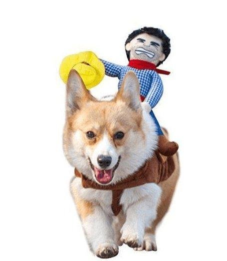 Cozy Cotton Canine Attire 1