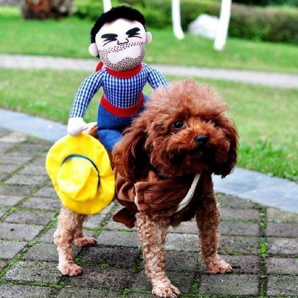Cozy Cotton Canine Attire 10
