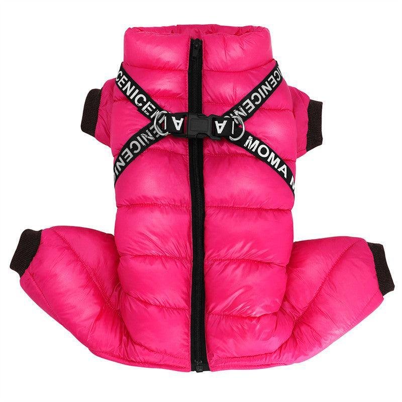 Cozy Winter Pet Apparel: Stylish Clothes For 3