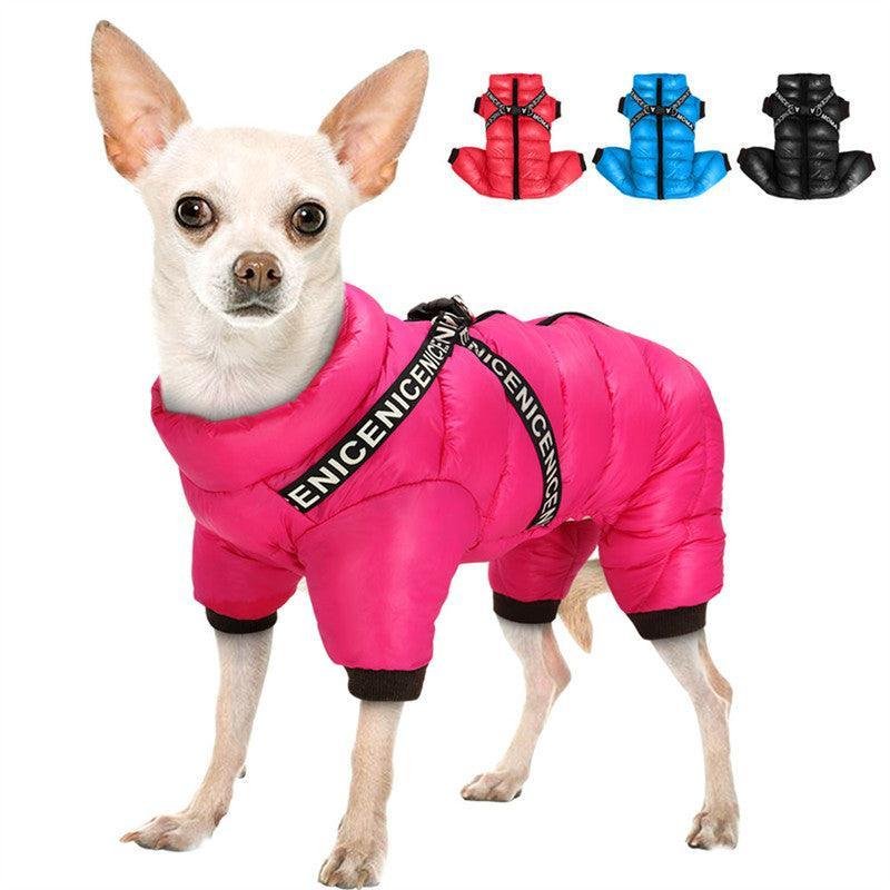 Cozy Winter Pet Apparel: Stylish Clothes For - Cozy Winter Pet