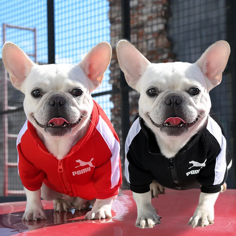 Baseball Dog Jacket Winter Dog Clothes For Small 1