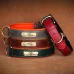 Personalized Customized Leather Id Nameplate Dog Collar Soft