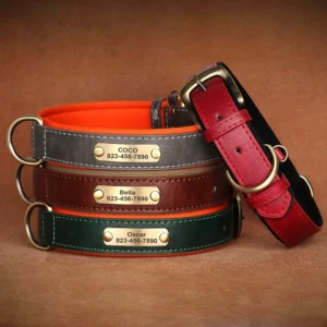 Personalized Customized Leather Id Nameplate Dog Collar Soft - Personalized Customized Leather