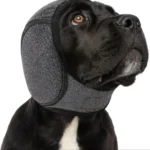 Dog Noise Reduction, Sound Insulation, Ear Muffs, Swimming Waterproof Headgear, Dog Emotional