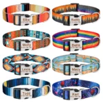Personalized Dog Collar Custom Engraved Name Id Tag