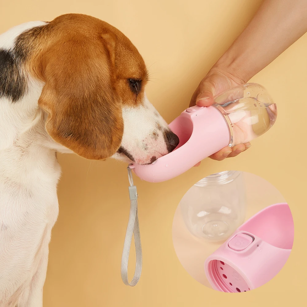 The Signature Hydration Vessel for Your Sophisticated Canine Companion - photo 5