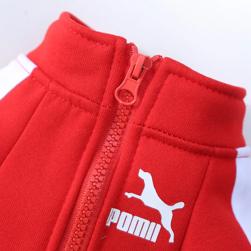 Baseball Dog Jacket Winter Dog Clothes For Small 4